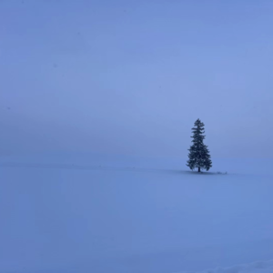 北海道，不滑雪怎么玩 128