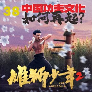 39.《雄狮少年2》争议中归来！ 溯源中华武术、动作明星、龙虎武师，中国功夫文化如何再起？