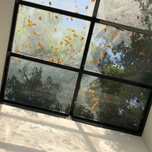 S2E5 就医pt 2之 你在妇科被羞辱过吗