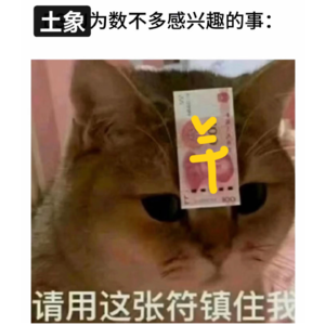 6.如何拿下「土象星座」crush？人机系统恋爱攻略