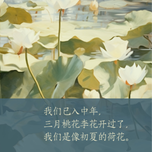 朱天心《初夏荷花时期的爱情》：我们已入中年，三月桃花李花开过了，我们是像初夏的荷花
