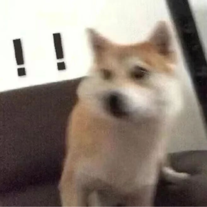 这也能保?!小众保险大搜罗,哪些便宜靠谱,哪些营销鸡肋?