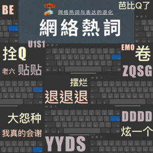 新时代失语者：网络热词与表达的退化 Vol.028
