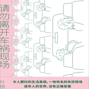 有时候你并不觉得还有什么可能性-叶扬