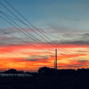 037. 愿望交换商店｜秋日碎碎念