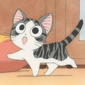 世界猫咪日 | 聊聊和猫咪同居的日子