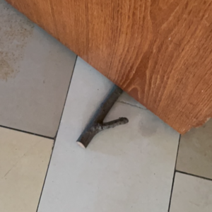 81. 搬家记:初尝独居,手拧螺丝,二手家具,南海观音,牛奶恩希玛