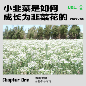 股市小韭菜是如何成长为韭菜花的？