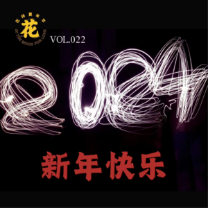 Vol：022 保持稳定，适当发疯——致2024。