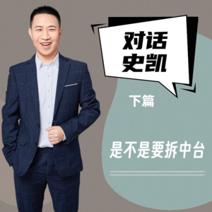 #07 对话史凯（下）｜是不是要拆中台？