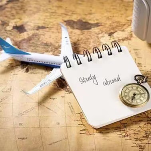 我辞掉年薪40万的工作，不顾一切留学移民奔赴理想国