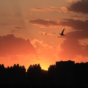 EP19-到你的城市吃饭｜去大同