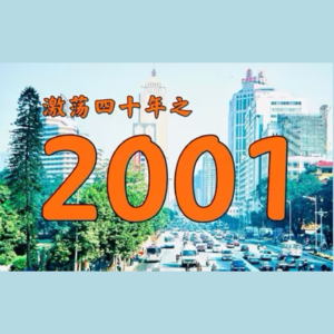 E39.2001年的中国发生了什么？【激荡四十年·2001】