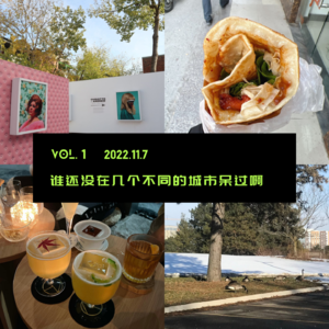 Vol.1 我在上海吃太原同款的正宗河南鸡蛋灌饼