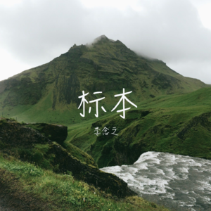 Opus 42：如果不算上遇见，你我还要分离多久 | 标本 06