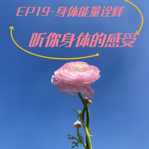 EP19-听你身体的感受|接受女性阴性能量|身体能量诠释