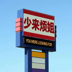 08 人生得意须尽疯,拒绝内耗从敢于发疯开始