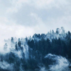 冥想静心，修养身心，我的做题学习抄经御用Bgm