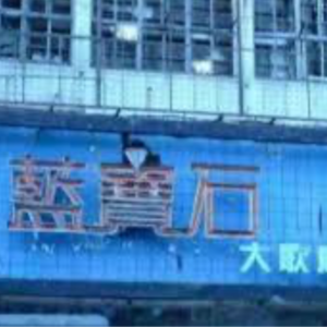 六，对岸娱乐天王的起落人生