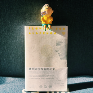 Vol.5 我想变聪明 我失去了一切 《献给阿尔吉侬的花束》
