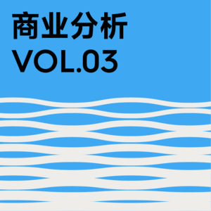 Vol.03 商业分析：慢速思考、克制和压制主观反应的过程