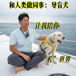cover of episode EP.31 |【和人类做同事】系列：导盲犬，让我陪你"看"世界！