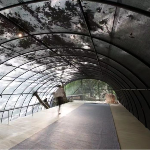 建筑02｜ 盖一栋房子需要建筑师吗？上海当代艺术馆PSA台湾现代建筑展（下）