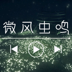【发呆白噪音】深山空谷，听微风虫鸣