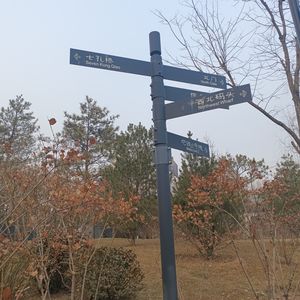 大学生观察记录