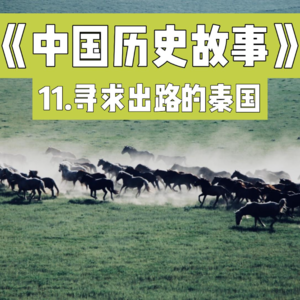 14.苦难中寻求出路的秦帝国