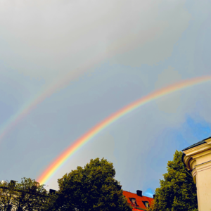 EP11 | 我的愿望要实现啦🥳🥳