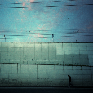 鬼台第393期：死神垂钓