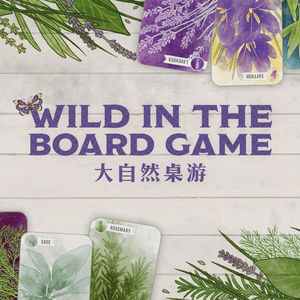 桌游中的大自然