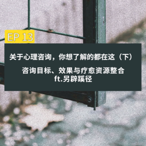 13. 关于心理咨询，你想了解的都在这（下）：咨询目标、效果与疗愈资源整合ft.另辟蹊径
