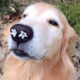 一個不務正業的博士