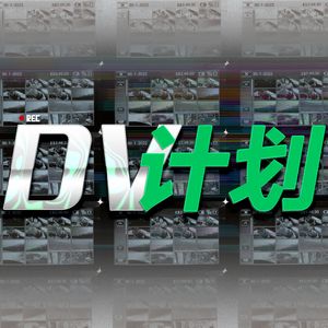 DV计划