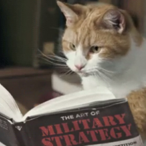 加拿大收紧留学政策