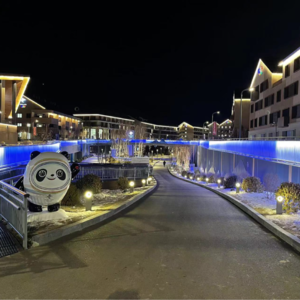 1.从参与冬奥到环球影城，我们日常的那些快乐时刻