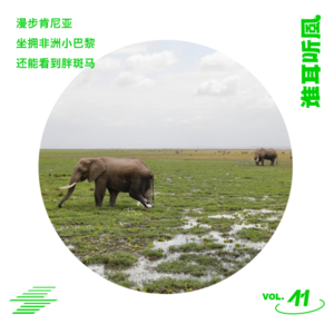 Vol.41 漫步肯尼亚-坐拥非洲小巴黎，还能看到胖斑马