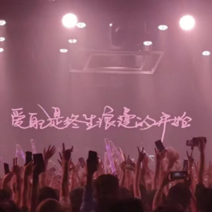 041 |livehouse、女驸马、猫，夏天是靠live活着的！