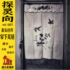 探灵向vol.007-真实经历·帘下双腿