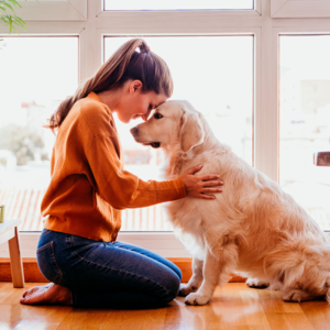 那人那狗——宠物与主人的关系《狗狗很优秀》综艺有感