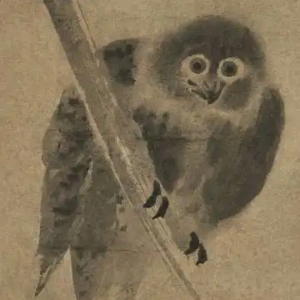 贾谊的文论与赋