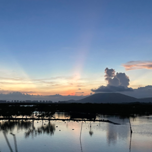 Vol.1【与人谈】星星抬头，也不虚此行