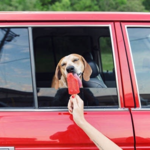 23. 人活一世，怎么能不受点伤