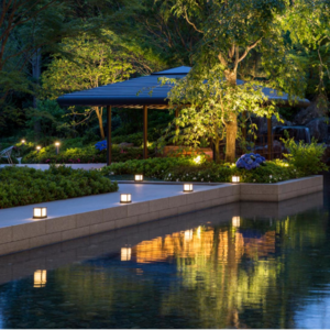 058 景观照明 植物的照明设计（1）