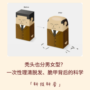 122｜秃头也分男女型？一次性理清脱发、脆甲背后的科学｜科技科普