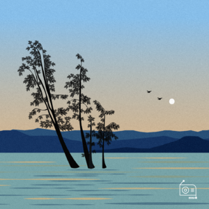 EP133：「微醺访谈」退休阿姨独自旅居大理半年