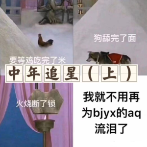 Vol.13 2023年了,还有博君一肖粉丝呢?|中年追星(上)