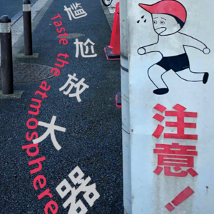 #11 从“日本是个尴尬放大器吗”开始本期的讨论